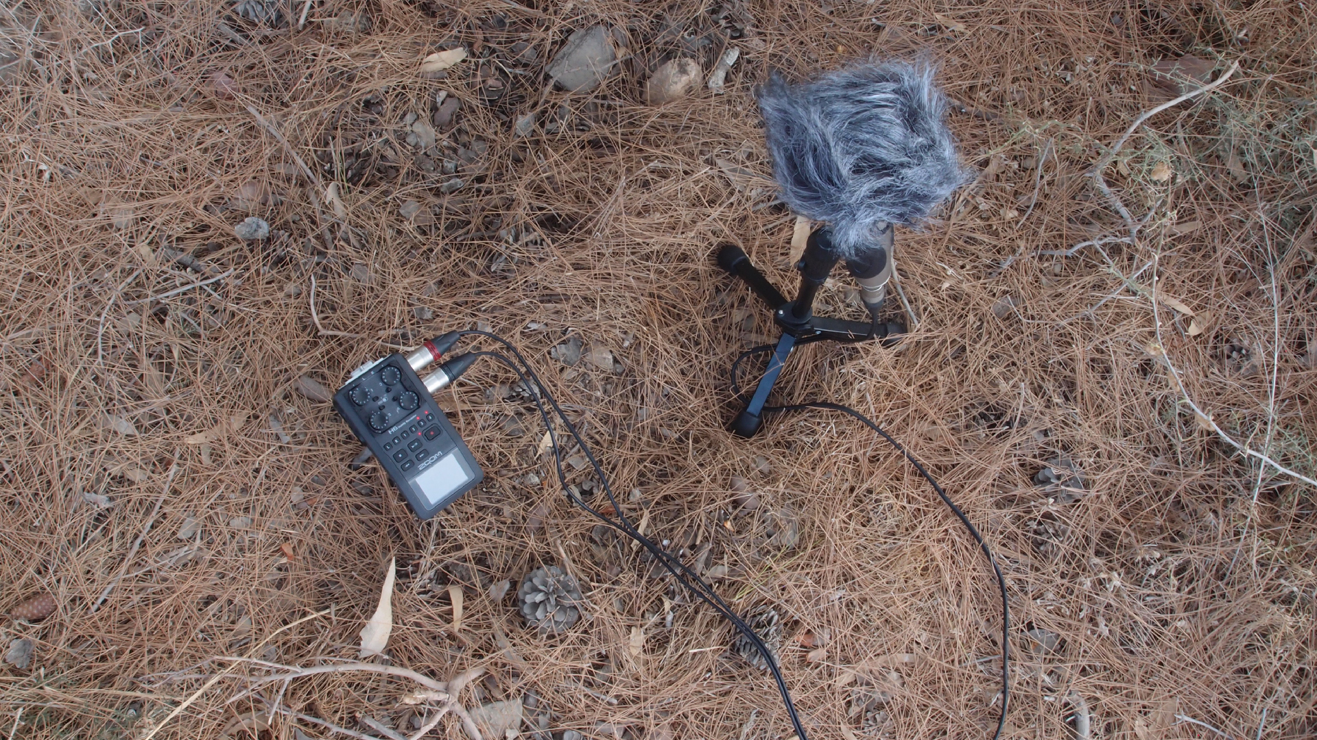 2021-09-08 01 auf der Klippe (Krios Beach) (Foto, Fieldrecording, Video)